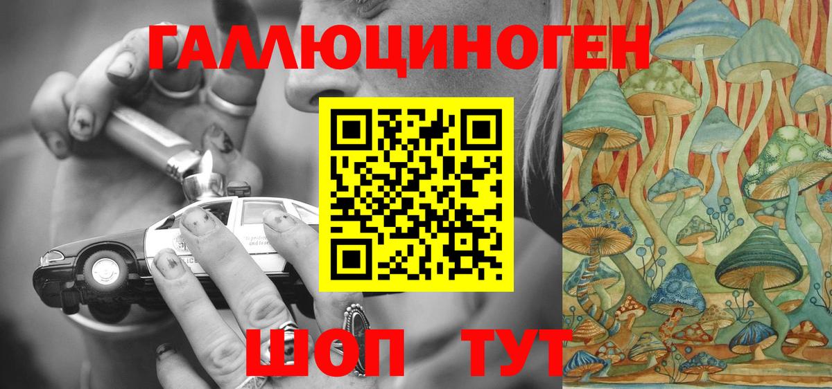 Галлюциногенные грибы Psilocybe Тихвин