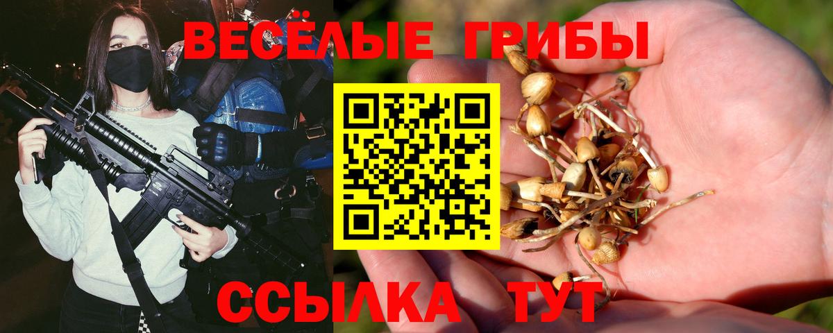 Псилоцибиновые грибы мухоморы  Вход с VPN  Тихвин 